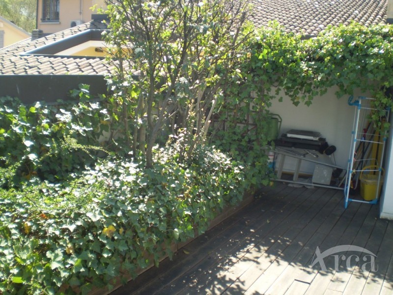Immagine 8