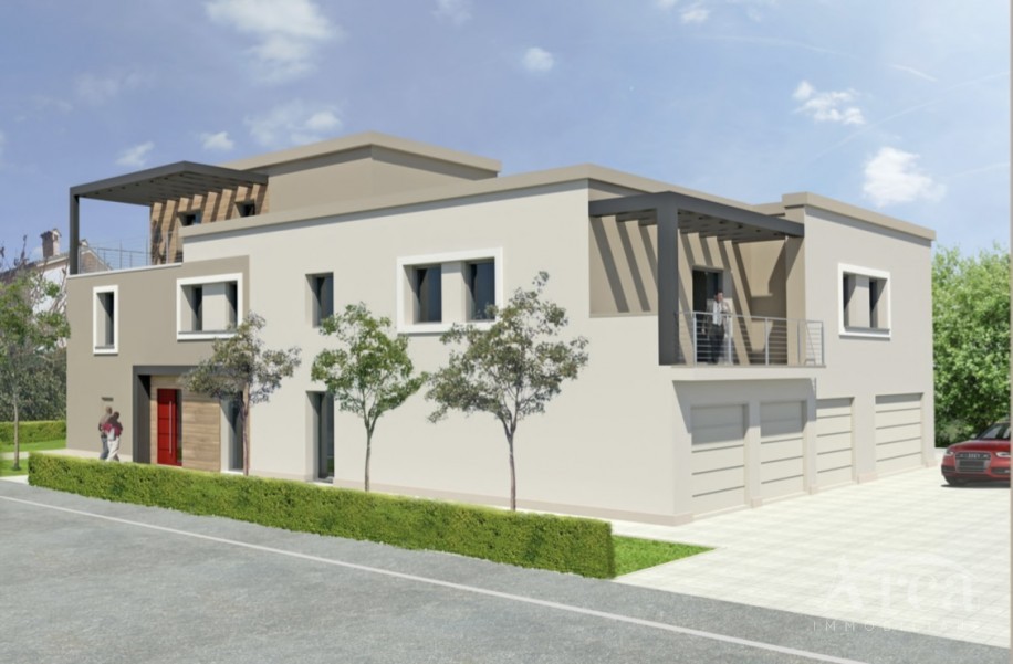 Immagine 2