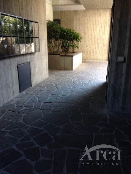 Immagine 5