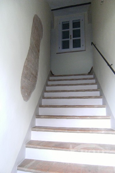Immagine 8