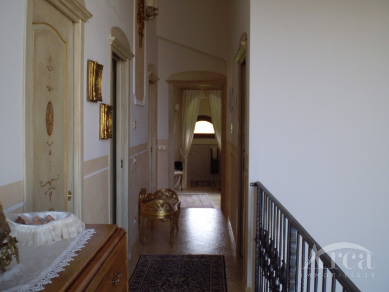 Immagine 16