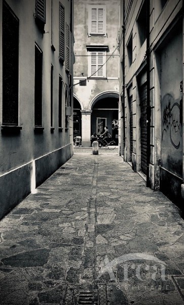 Immagine 7